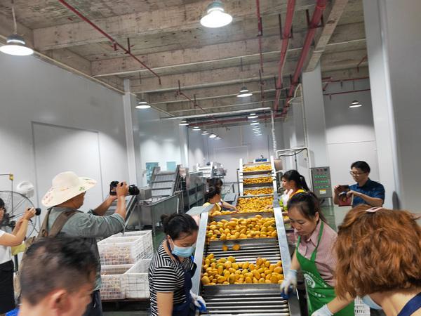 省紫灶的使用中央七台农广天地_产品经理ppt产品报告_贵州省农产品统计报告