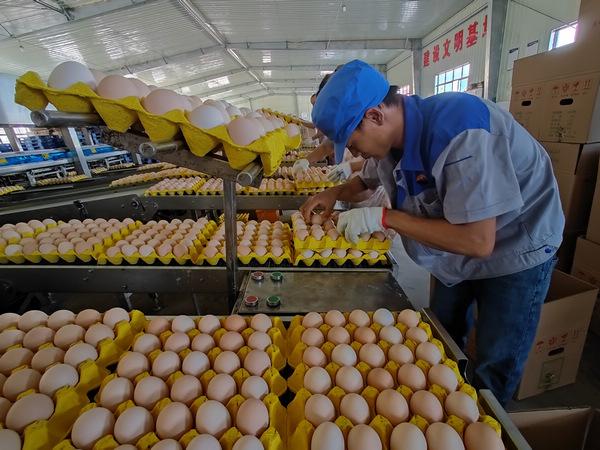 贵州省农产品统计报告_省紫灶的使用中央七台农广天地_产品经理ppt产品报告