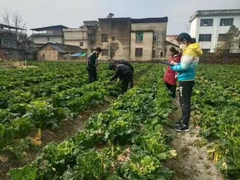 农商务省_贵州省农产品统计报告_勐省农克硝洞遗址