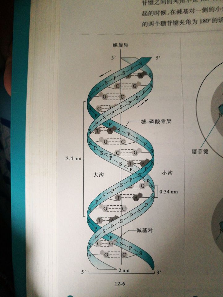 时下国内热点社会话题_2013新闻传播学热点话题_新媒介环境下热点事件的传播特点与趋势探究