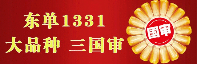 果蔬贮藏保鲜技术_食品贮藏保鲜 课件_农产品贮藏保鲜现状