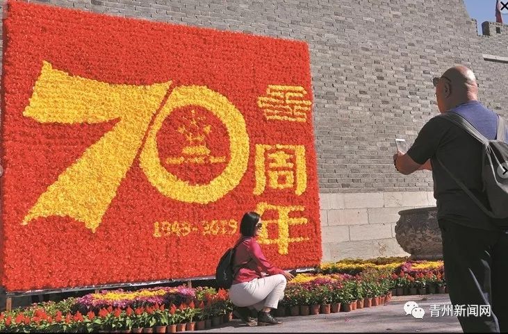 青州蝴蝶兰供应基地山东蝴蝶兰批发价格花卉_青州花卉博览会地址_青州花卉博览会