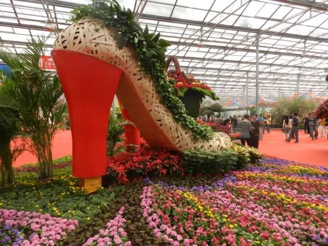 青州花卉多肉_青州花卉博览会_2015年青州花卉博览会