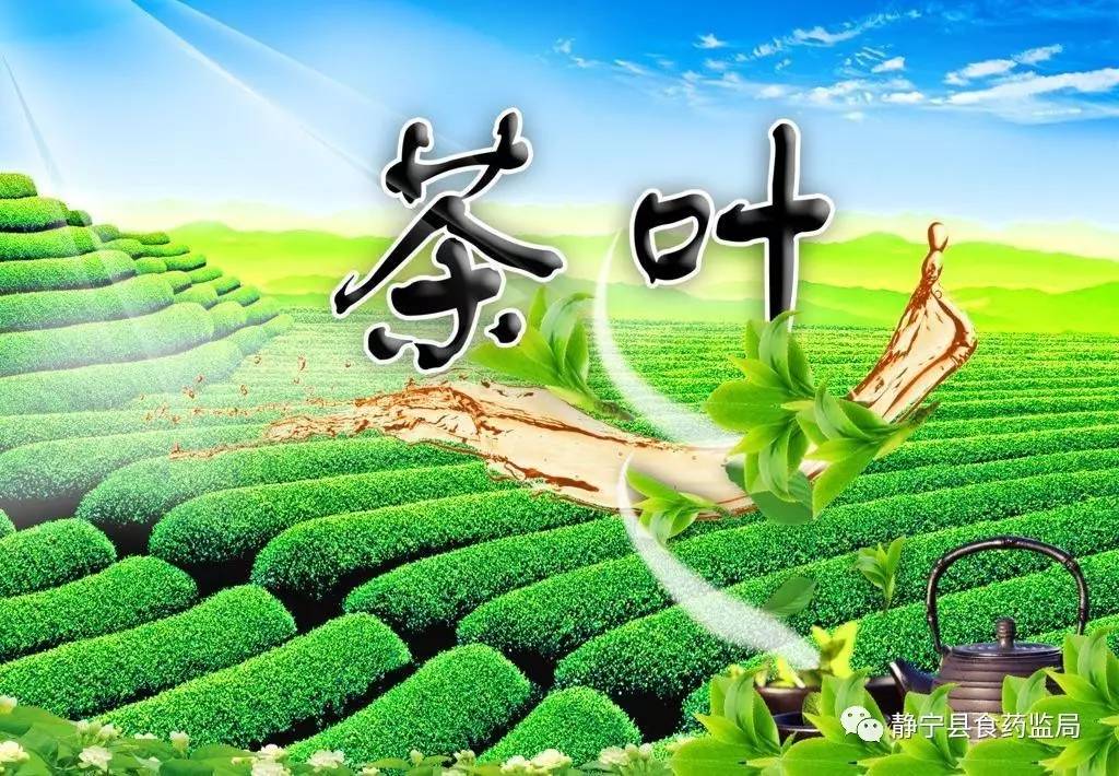 茶叶是初级农产品吗_福建省安溪县一农茶叶有限公司_茶叶农残速测仪