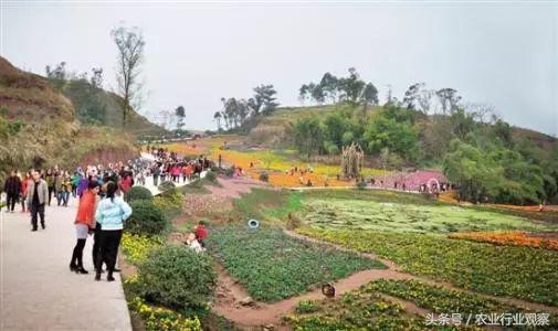 有农药的茶叶_不酒农药的茶叶_茶叶是初级农产品吗