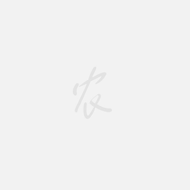 农产品 销售网_新三板农付产品_快速销售的农产品网站