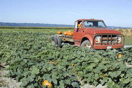 新三板农付产品_农产品 销售网_快速销售的农产品网站