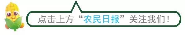 北京农业展会_农业 展会 新闻_农业部展会工作管理办法