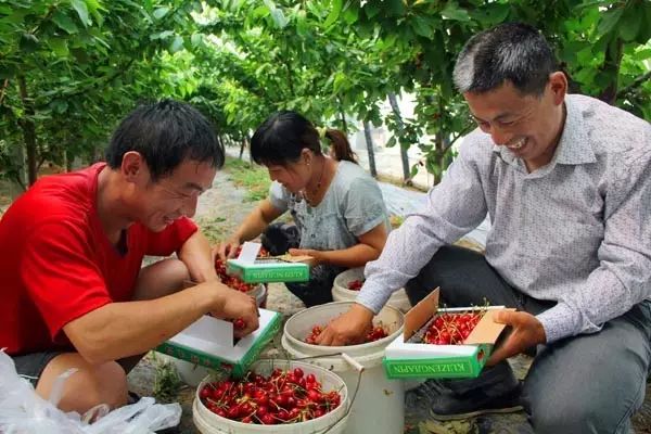 汇源农谷生态体验园_生态农业园取名_原生态农产品怎么取名