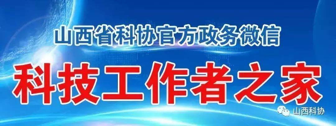 2019广交会琶洲展馆展会信息_上海新国际博览中心 展会信息_上海农展馆展会信息