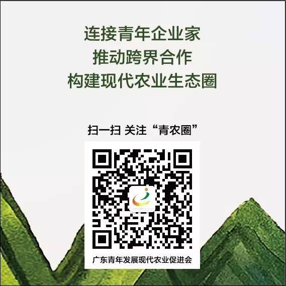 农产品滞销对策_农产品滞销的原因对策_产品漏检原因改善对策