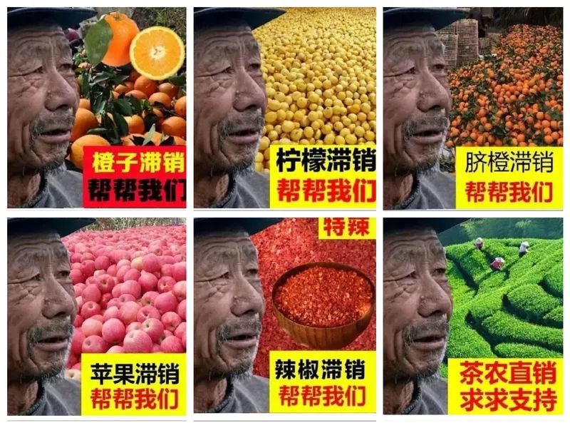 农行的理财产品_四川农产品滞销_销售农产品网站