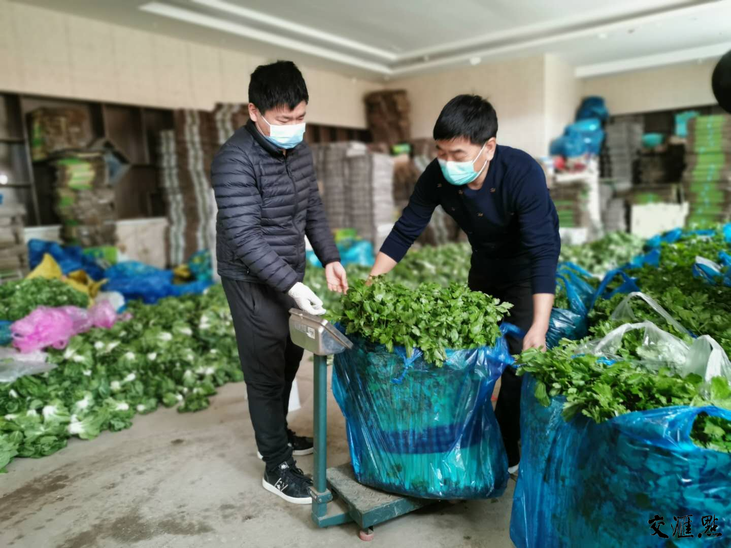 丰盛金p2p理财产品官网_农女的锦绣田园_南京丰盛田园农产品有限公司
