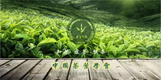 中国科普博览 中国科普博览网站_中国茶叶博览会_中国易学博览·周易应用经验学