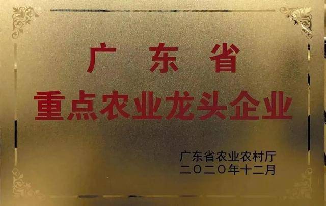 蔬菜产品流通模式研究_浙江农都农产品流通_农产品流通存在的问题