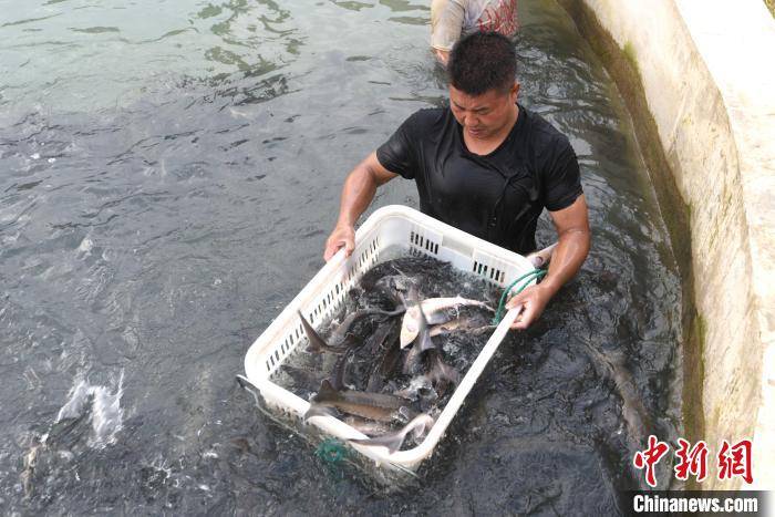 地理信息产业 存在 问题_农产品流通存在的问题_生猪产品流通管理条例