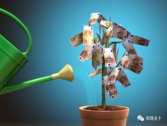 微信营销失败案例_农产品营销失败案例_ip营销失败案例
