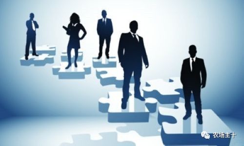 微信营销失败案例_ip营销失败案例_农产品营销失败案例