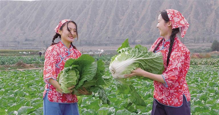 安全员c证多少分合格_食用农产品合格证_安全员b证多少分合格过