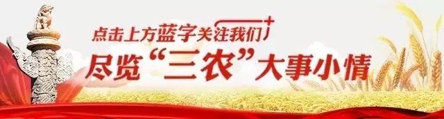 黑龙江农海红兴隆分局_黑龙江农产品期货市场_黑龙江农商行客服电话