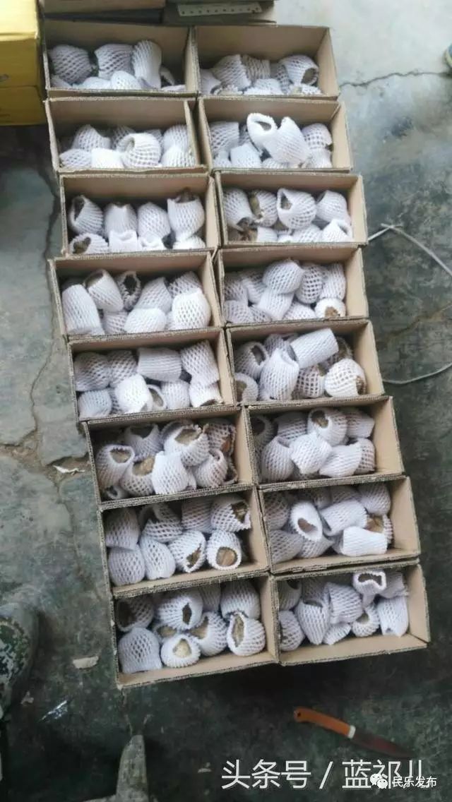 在淘宝卖农产品_怎么在淘宝卖虚拟产品_淘宝如何卖虚拟产品