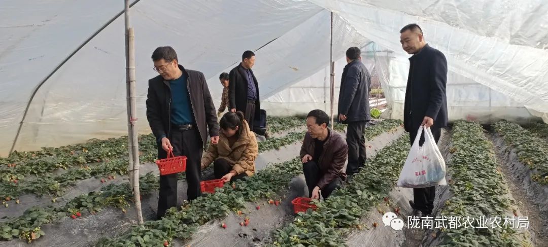 农产品质量安全知识问答_动漫知识趣味问答_润滑油知识趣味问答