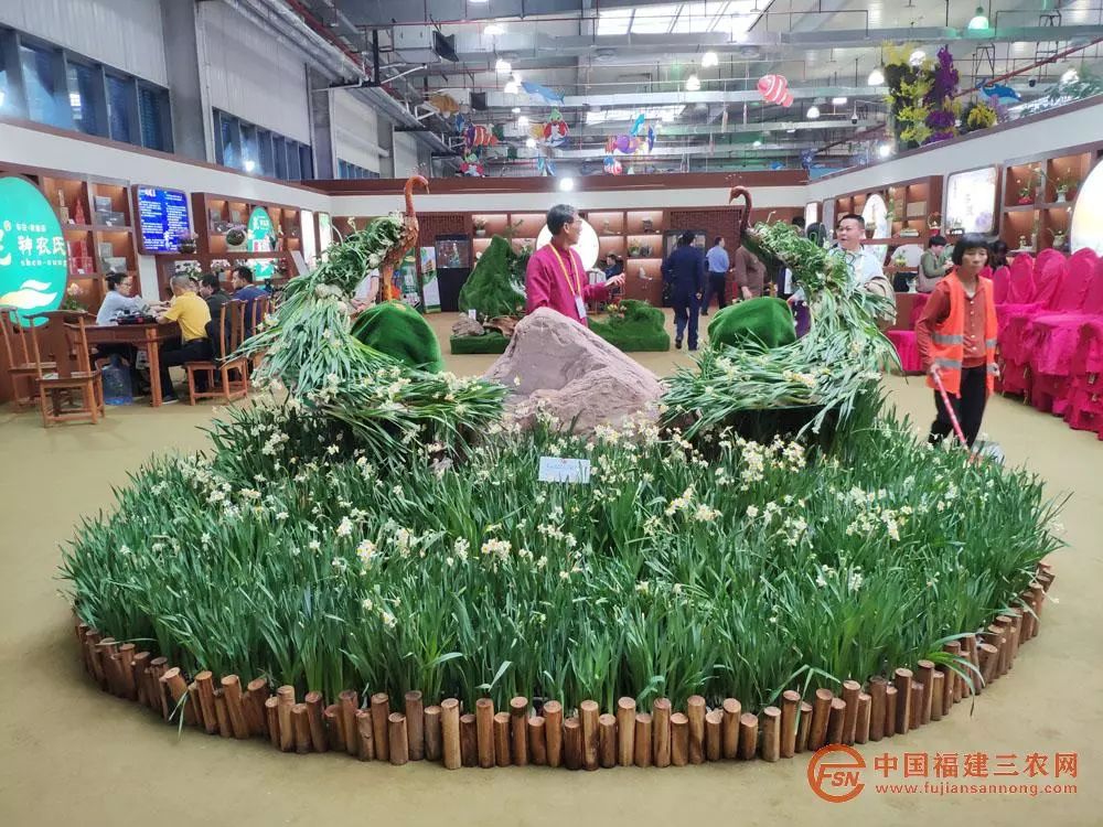 漳州花卉批发电话_漳州花卉博览会_福建花卉批发市场漳州