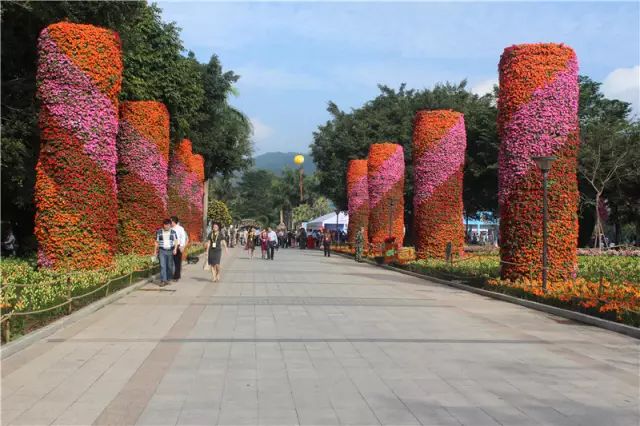 漳州花卉批发市场地址_漳州花卉批发市场_漳州花卉博览会