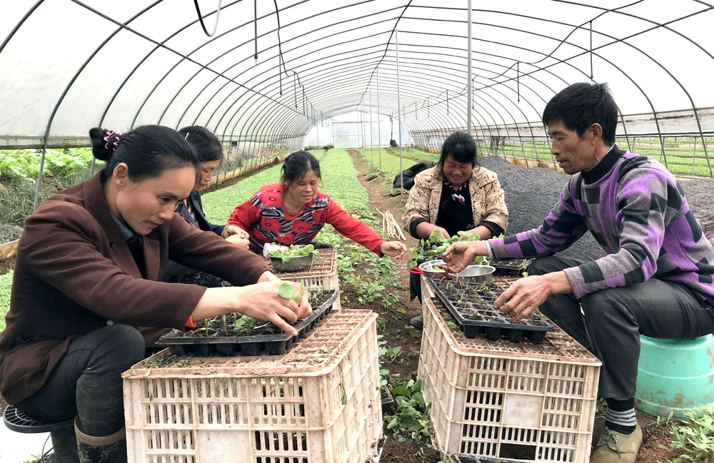 种植农民专业合作社章程_农民专业合作社章程下载_农产品专业合作社章程