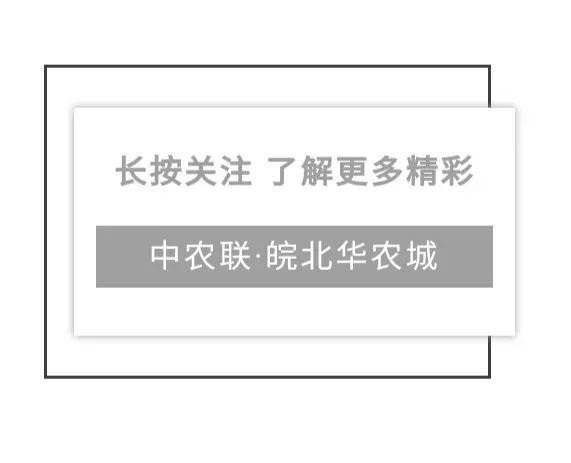 婴儿产品 渠道_小众产品市场渠道流通该怎么搭建_农产品流通渠道