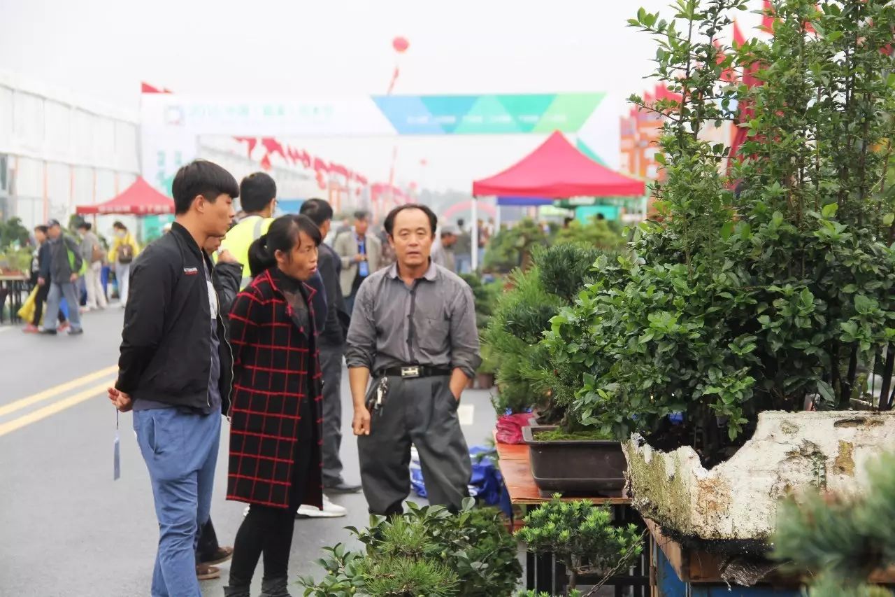 花木展会_展会网 2016展会信息_花木展会