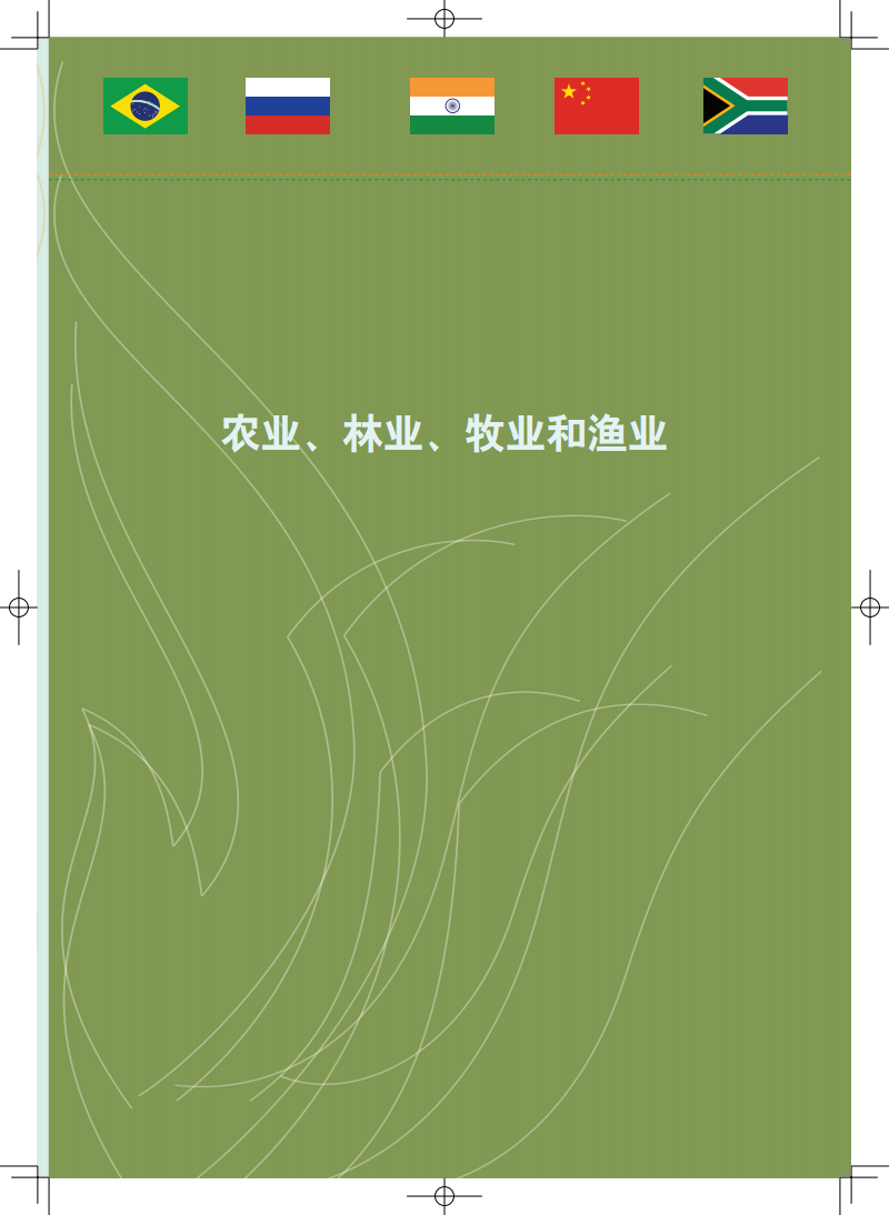 国家兽药产品追溯信息系统的建设与思考_农产品安全追溯平台_重要产品追溯体系建设方案