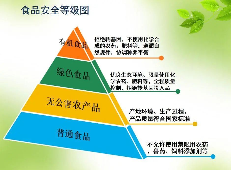 初加工农产品概念_轴芯加工概念_农产品初级加工概念