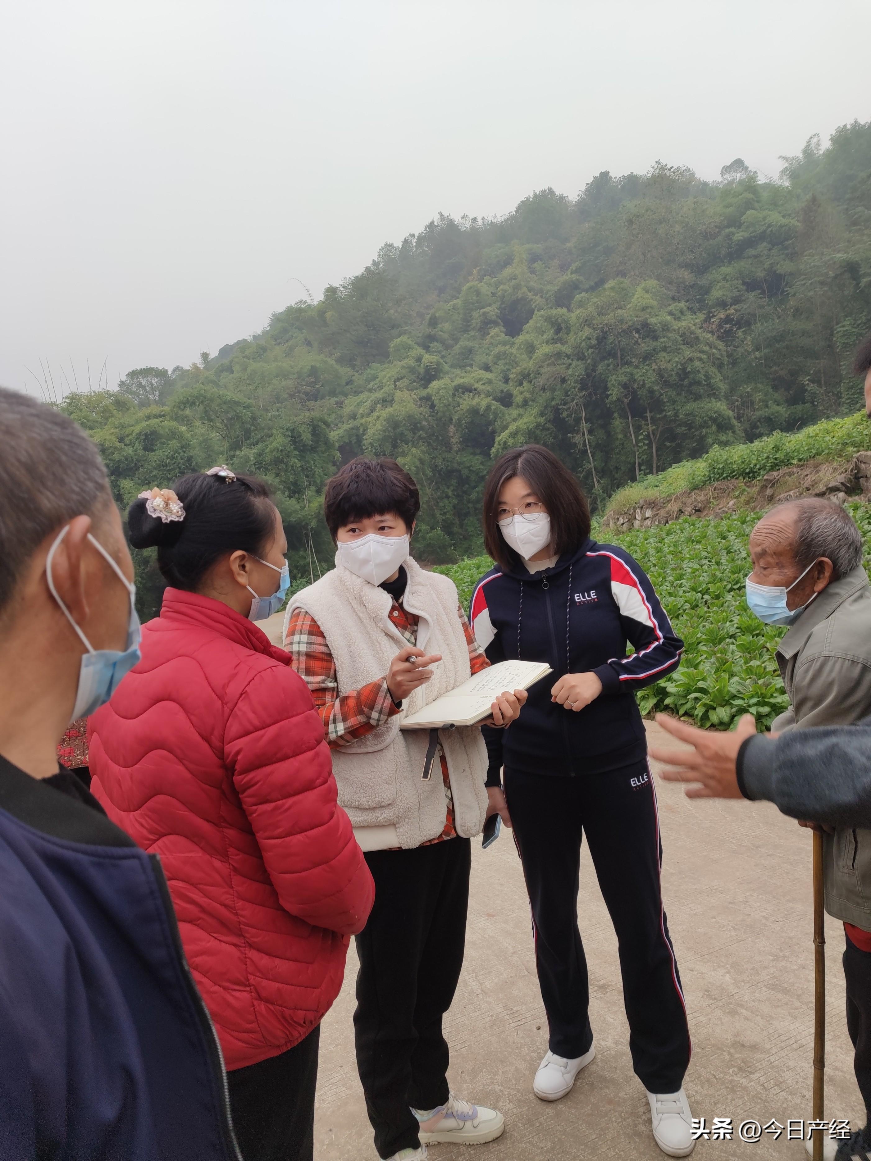 重庆农产品滞销_重庆农产品滞销_农行的理财产品有风险吗