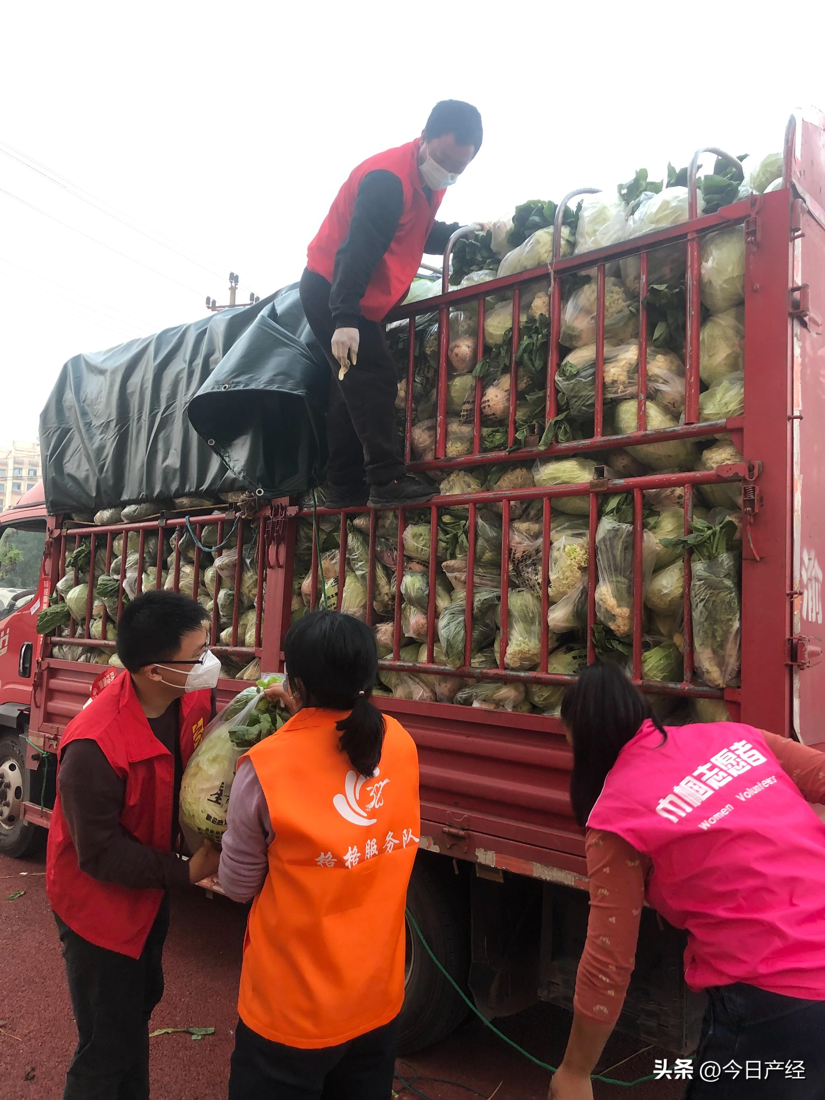 重庆农产品滞销_重庆农产品滞销_农行的理财产品有风险吗