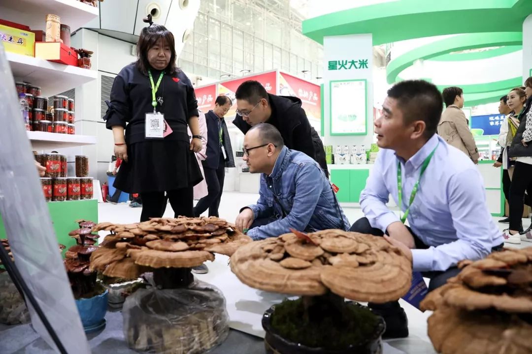 淮安国际食品博览城_黑龙江绿色食品协会_黑龙江绿色食品博览会